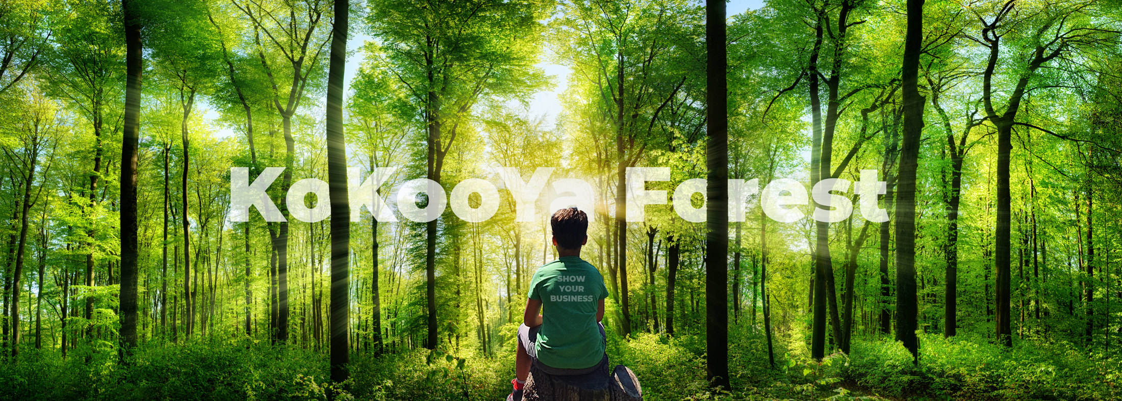 A child in a KoKooYa t-shirt sitting in a sunlit forest, with the words KoKooYa Forest